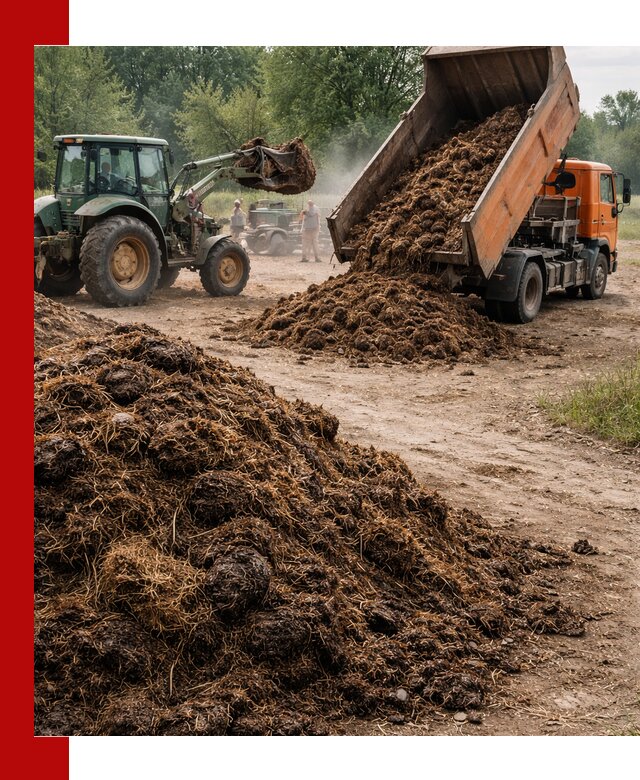 Доставка навоза самосвалами в Комсомольске-на-Амуре для сельхозпотребностей